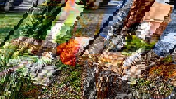 Botilbud For Sagsbehandlere Med Den Rette Pædagogiske Støtte