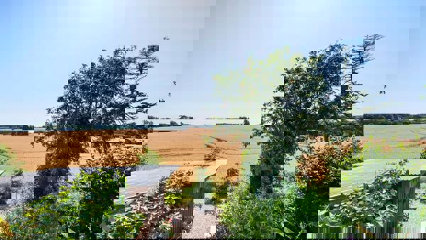 80C1de0d4896cf511d7ce5b63336b551