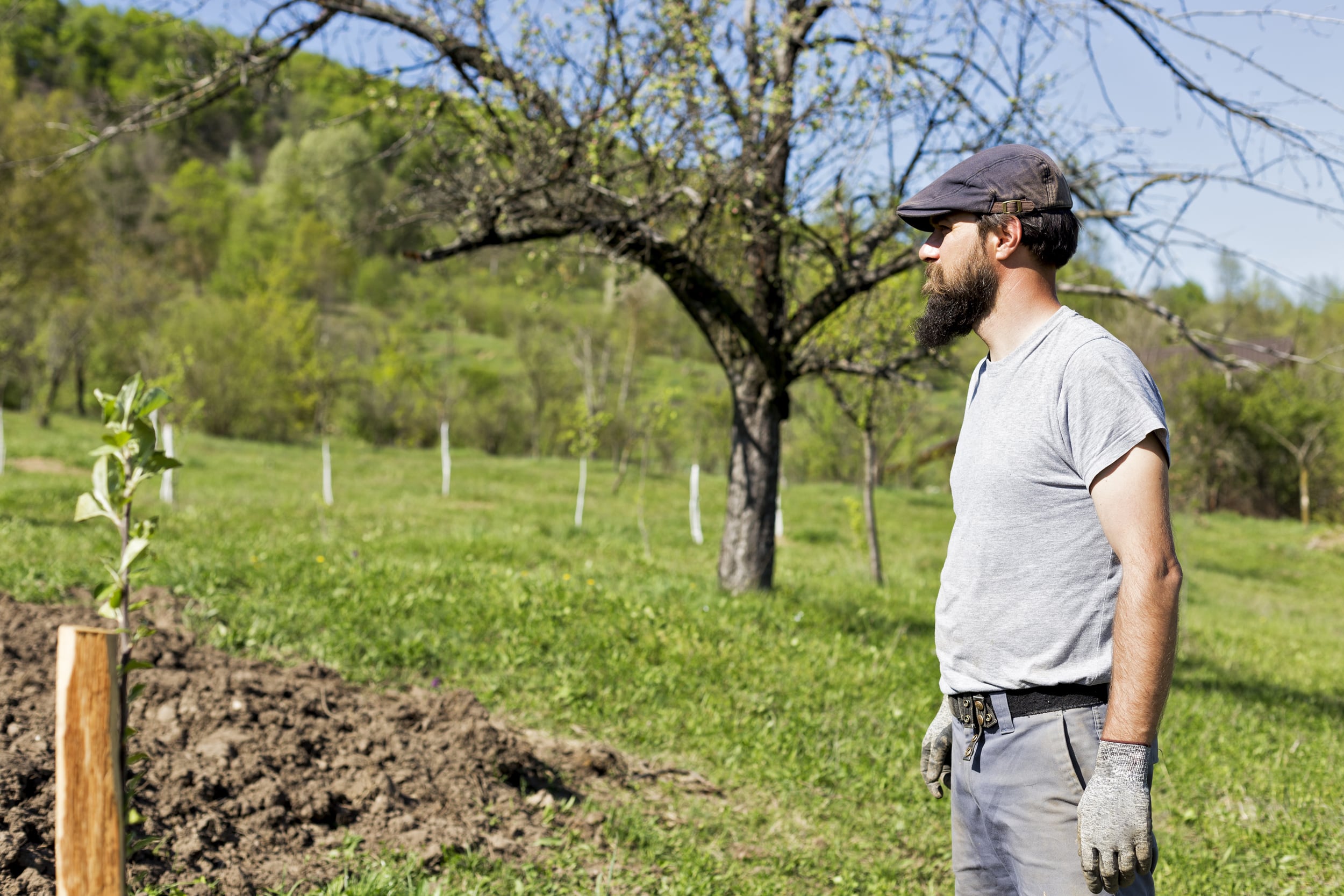 Shutterstock 417122326