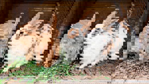 Botilbud For Pårørende Med De Rette Aktiviteter